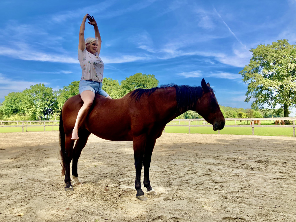 Yoga te paard